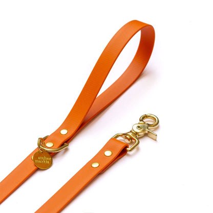 Wasserdichter Mantel Tangerine: Gold / 240 cm lange Freihandleine