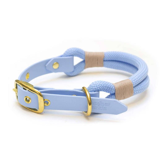 Polarkragen Blau: Gold