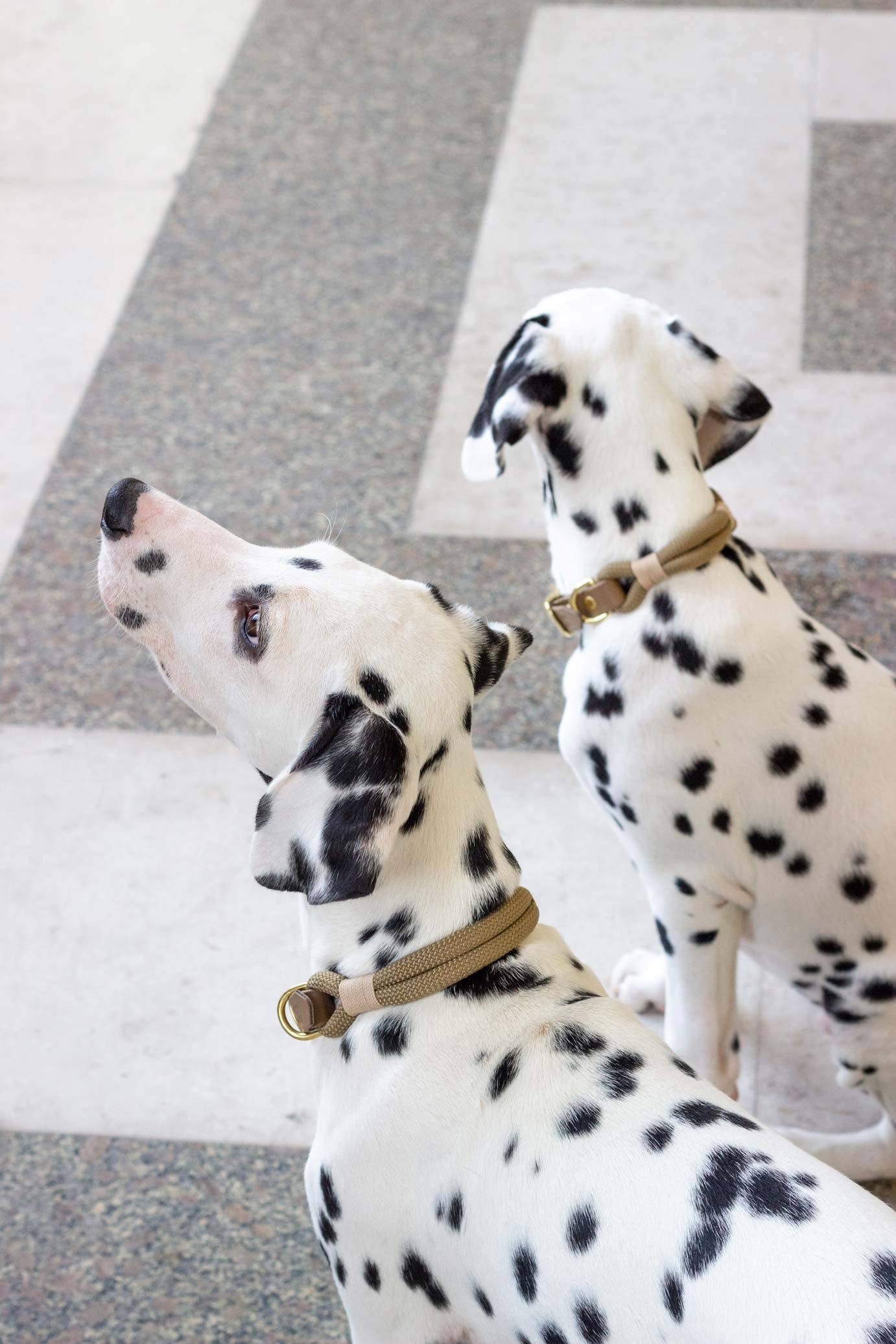 Macchiato-Halskette: Gold