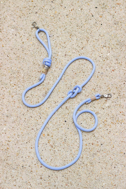 Polarblaue Leine: Gold / 10 mm / Laisse simple 180 cm