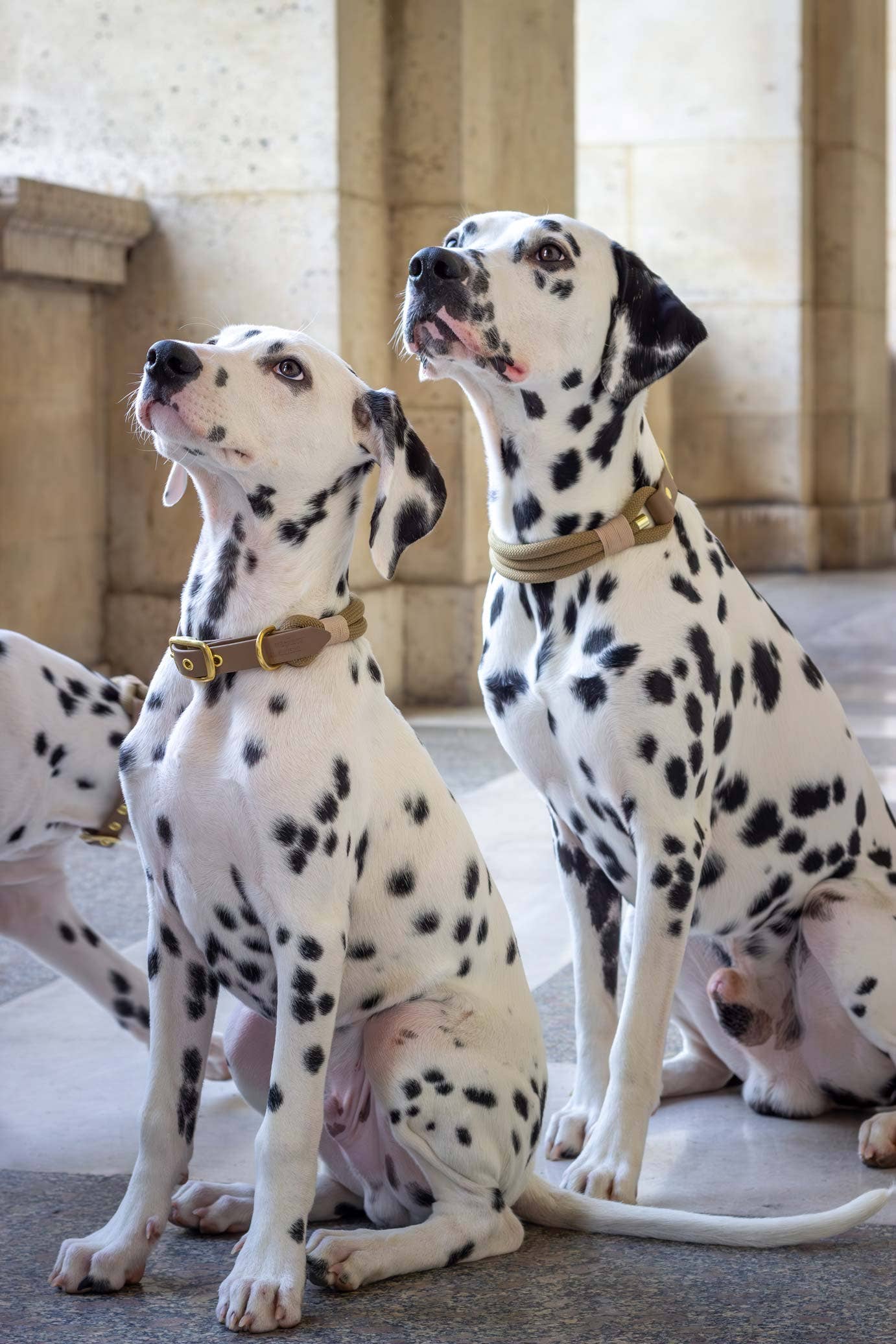 Macchiato-Halskette: Gold