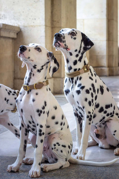 Macchiato-Halskette: Gold