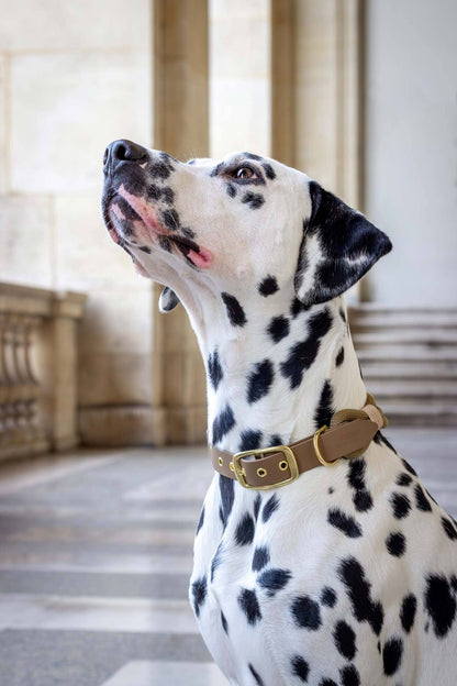 Macchiato-Halskette: Gold