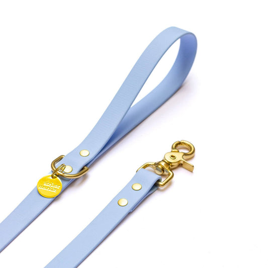 Polare Blau Regenmantel: Doré / Laisse simple 180 cm