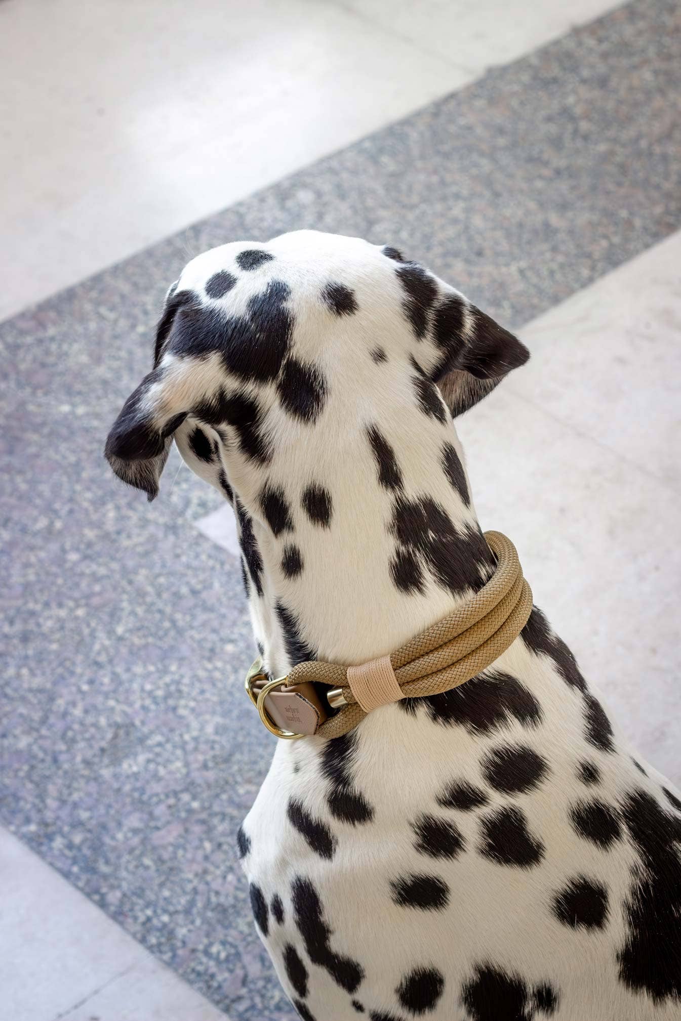 Macchiato-Halskette: Gold