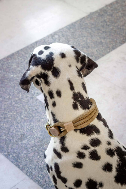 Macchiato-Halskette: Gold